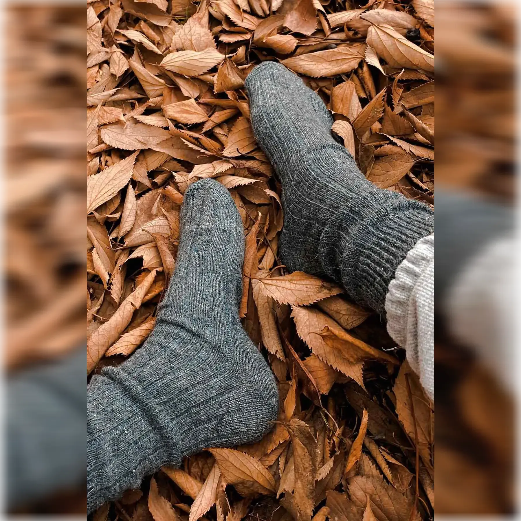 Alpaca Wool, Plain Coloured Winter Socks