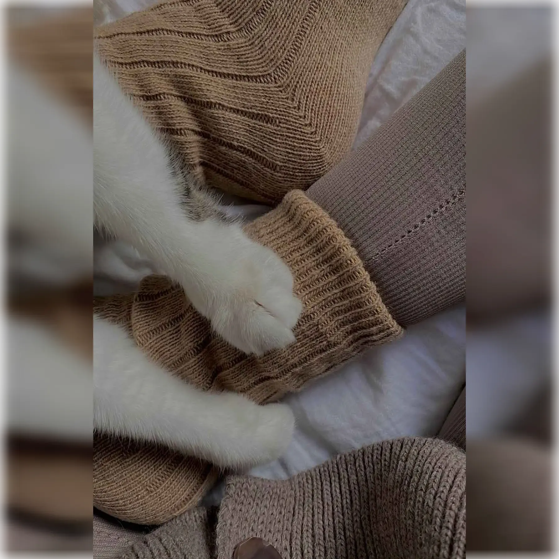 Alpaca Wool, Plain Coloured Winter Socks