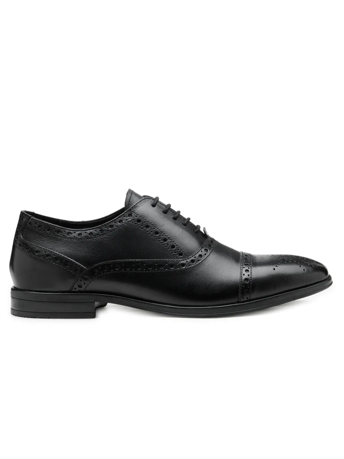 Teakwood Leather Men's Oxford/Brogue Shoes