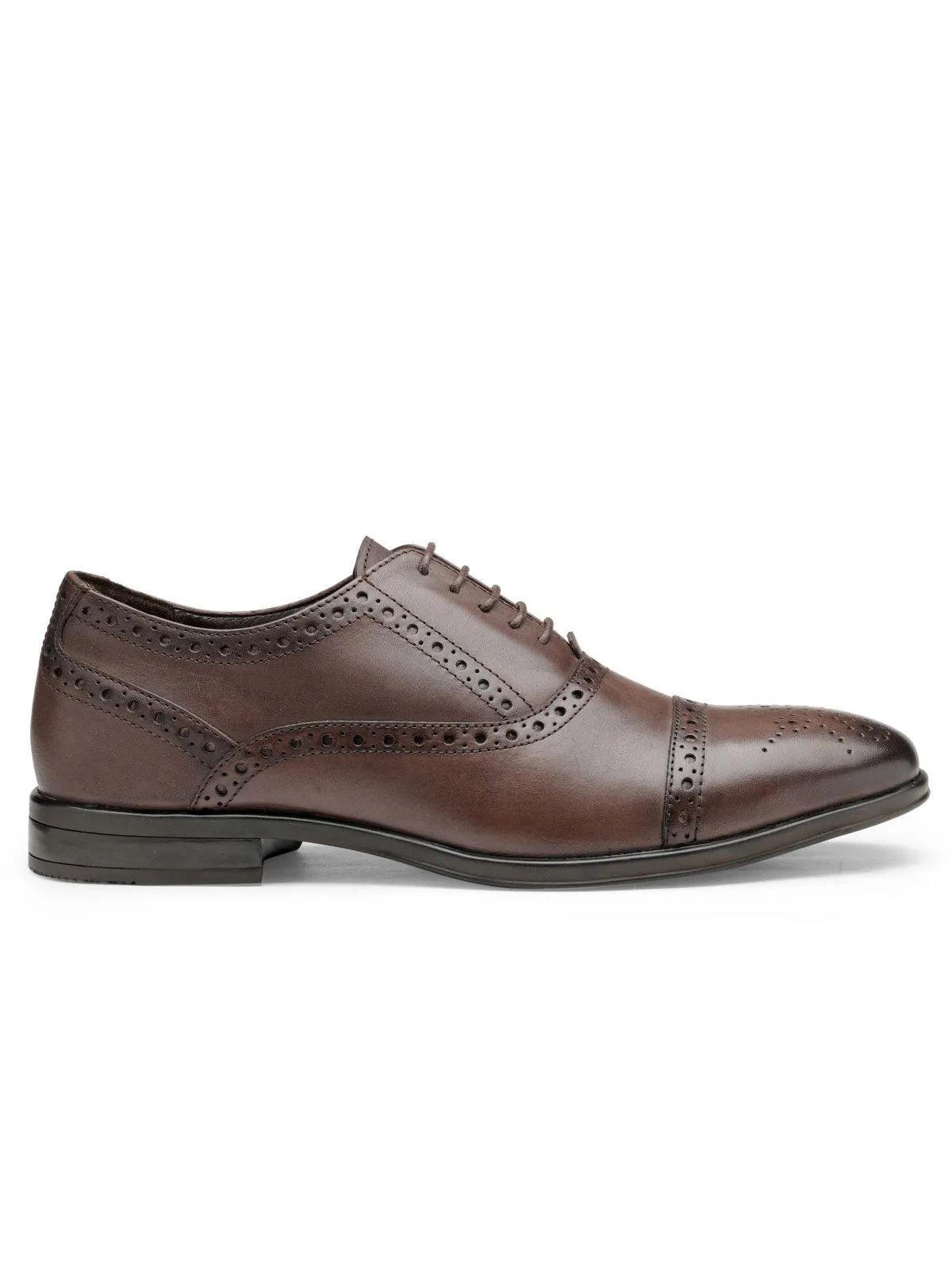 Teakwood Leather Men's Oxford/Brogue Shoes